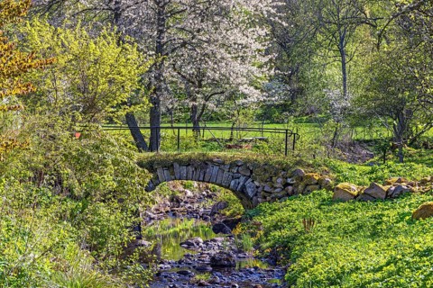 Old arch bridge over a stream in a lush green meadow landscape a sunny spring day, Sweden