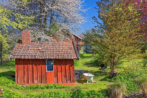 Old red wooden shed with a bathtub outside in a garden with lush green budding trees a sunny spring