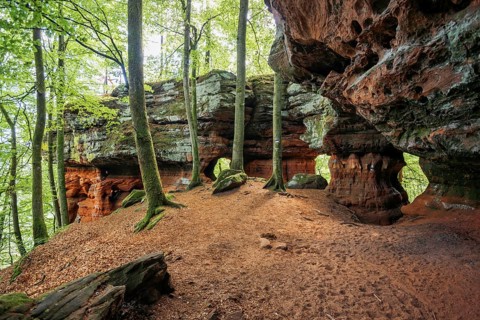 Sandstone Cliffs, Old Castle Rock, near Eppenbrunn, Palatinate Forest, Rhineland-Palatinate,