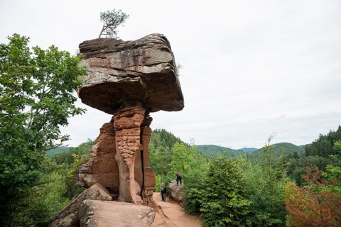 Sandstone rocks, Teufelstisch, near Hinterweidenthal, Dahner Felsenland, Palatinate Forest,