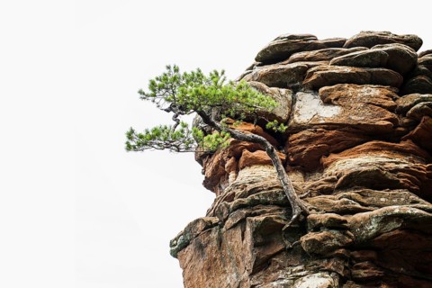 Sandstone rocks, near Hinterweidenthal, Dahner Felsenland, Palatinate Forest, Rhineland-Palatinate,