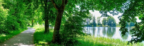 Wanderweg am Erlensee, Erlensee, near Schechen, Upper Bavaria, Bavaria, Germany