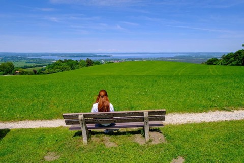 View from Seiser Alm, Seiserhof, near Bernau across Lake Chiemsee, Chiemgau, Upper Bavaria,