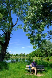 Rest Bench, Bank, Ruhebank am Erlensee, Erlensee, near Schechen, Upper Bavaria, Bavaria, Germany