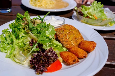 Vegetarian dish, potato wedges with salad, food, Seiser Alm, Seiserhof, bei Bernau über dem