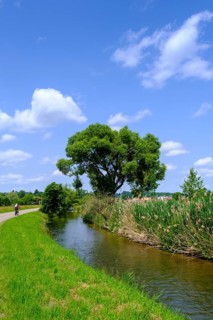 Cyclist, bicycle tour near Gutenzell an der Rot, Rottal, Upper Swabia, Baden-Württemberg, Germany