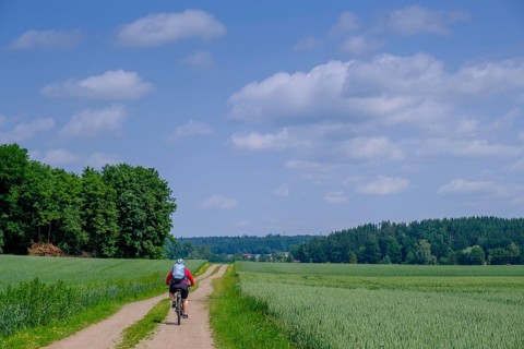 Cyclist, bicycle tour, near Berkheim, Rottal, Upper Swabia, Baden-Württemberg, Germany
