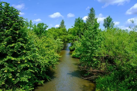 River Rot near Edelbeuern, Rottal, Upper Swabia, Baden-Württemberg, Germany