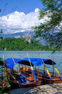 Tourist boats, rowing boats, Bled, Lake Bled, Slovenia