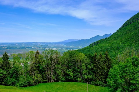 Am Adersberg, bei Grassau, Chiemgau, Upper Bavaria, Bavaria, Germany