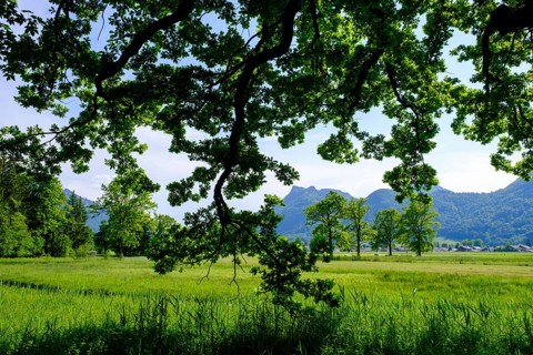 Am Naturerlebnispfad, Aschau, Chiemgau, Upper Bavaria, Bavaria, Germany