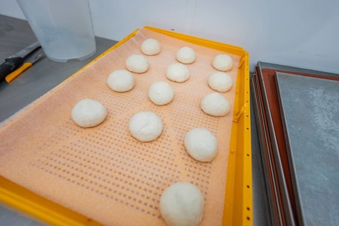 Dozen dough balls on orange tray in bakery environment, baking rolls, Haselstaller Hof, Gechingen,