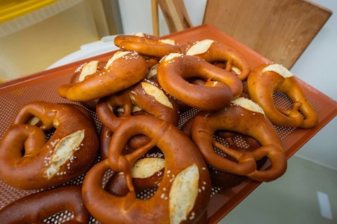 Fresh golden brown pretzels with salt on a baking mat, bake rolls, Haselstaller Hof, Gechingen,