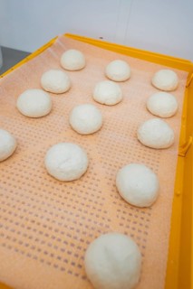 White dough balls on orange baking tray in a kitchen, baking rolls, Haselstaller Hof, Gechingen,