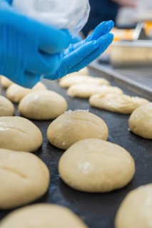 Baker hand with glove spread dough pieces on baking tray, bake rolls, Haselstaller Hof, Gechingen,