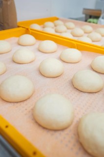 Round dough pieces on an orange tray in preparation for fermentation, bake rolls, Haselstaller Hof,