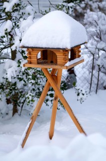 Snowy birdhouse, in winter, Stuttgart, Baden-Württemberg, Germany