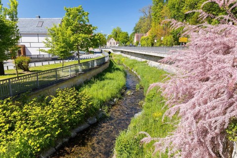The Seidewitz flows through Zuschendorf, Pirna, Saxony, Germany