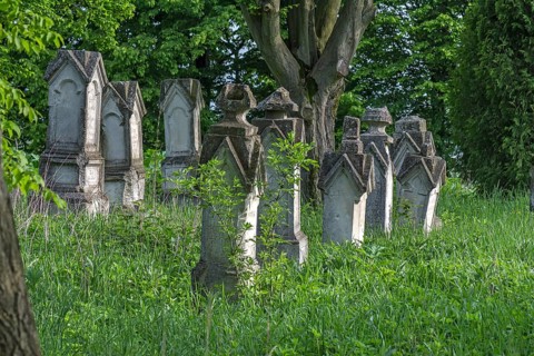 German cemetery of the former German community of Dornfeld, 1738-1918, today Ternopillya, Ukraine