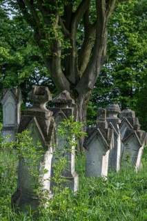 German cemetery of the former German community of Dornfeld, 1738-1918, today Ternopillya, Ukraine