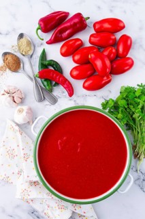 Georgian Satsebeli sauce, made from tomatoes and sweet peppers, with spices, homemade, no people