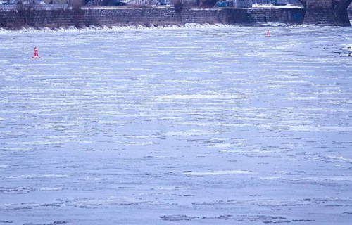 Elbe with ice floes, winter, Dresden, Saxony, Germany