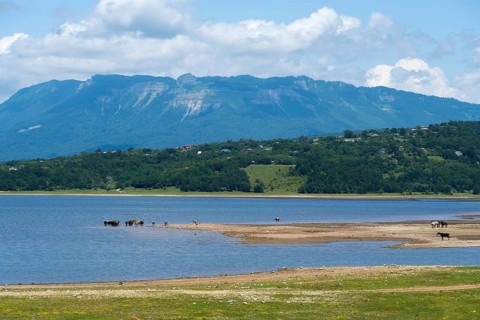 Landscape with lake, grazing animals and mountains in the background under blue sky, Tqibuli