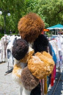 Fur hats on display at a market outside, Borjomi, Borjomi resort, Borjomi, Samtskhe-Javakheti