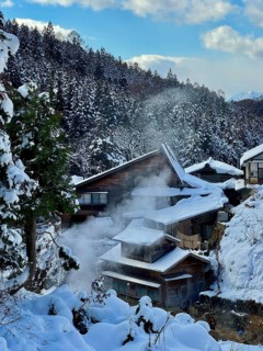 Snowy wooden houses in a wooded area with smoke rising under clear blue sky, winter, snow,