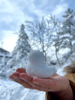 A hand presents a duck shaped snow sculpture in front of snowy trees and sky, winter, snow, Chubu