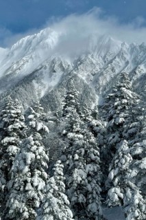 Snowy fir trees in front of mighty mountains covered with clouds creating a cold winter landscape,