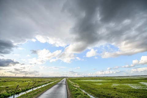 A long road leads through the wetland landscape of the ox bog, under a cloudy sky, Dümmer nature