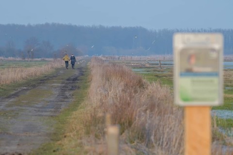 Two people ignore a protected area sign and walk along a blocked dirt road, surrounded by nature in