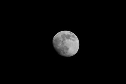 The moon is highly detailed and clearly visible against a black night sky, Dümmer nature park Park,