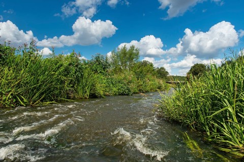 Fish ladder in the Hunte near Goldenstedt, Oldenburger Münsterland, Goldenstedt, Lower Saxony,