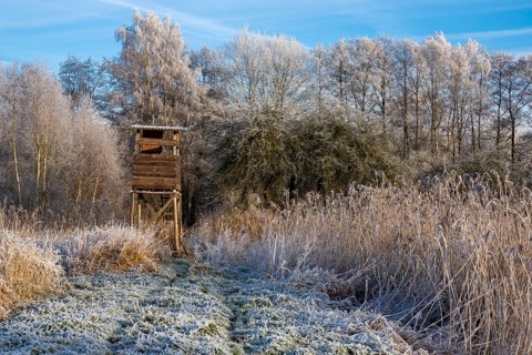 Winter hoarfrost at Ahlhorn fish ponds, Ahlhorn fish ponds, Ahlhorn, Lower Saxony, Germany