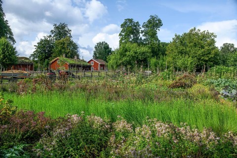 Lush garden with flowers and plants surrounded by rustic wooden houses with the birthplace of