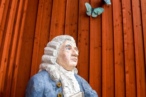 Wooden statue of botanist and founder of the binary nomenclature Carl von Linné with white hair and