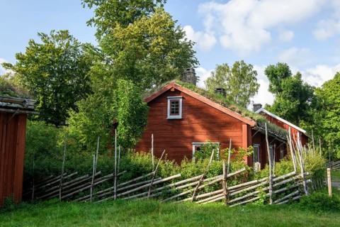 Birthplace of botanist and founder of the binary nomenclature Carl von Linne with white hair and
