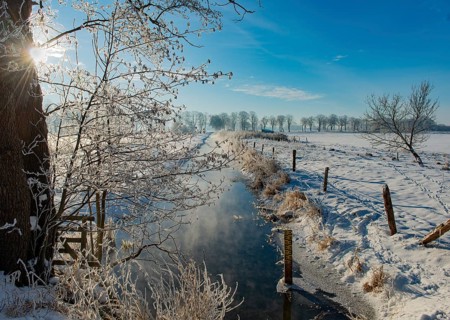 Snowy winter landscape with a small ditch and sunlit trees and fence, Hüde, Dümmer nature park