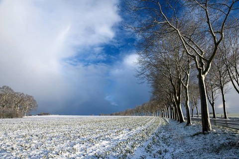 Winter landscape with snow and trees under a partly cloudy sky, Dümmerlohausen, Dümmer nature park