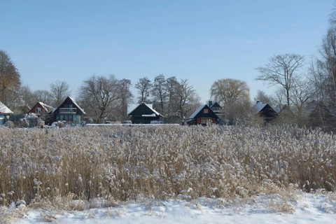 Several weekend houses holiday homes in a snowy village on Dümmer See with reeds in the foreground,