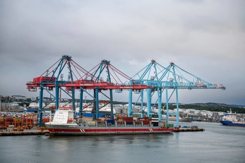 Industrial port with container cranes, container bridges and cargo ship under overcast sky,