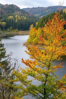 Autumn forest at Granestausee in the Harz Mountains, Granestausee, Goslar, Lower Saxony, Germany