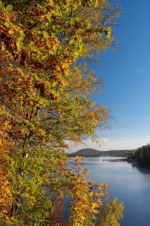 Autumn forest at Innerstestausee in the Harz Mountains, Innerstestausee, Goslar, Lower Saxony,