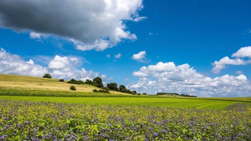 Summer landscape in the Eifel, Blankenheim, North Rhine-Westphalia, Germany