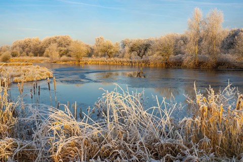 Winter hoarfrost at Ahlhorn fish ponds, Ahlhorn fish ponds, Ahlhorn, Lower Saxony, Germany