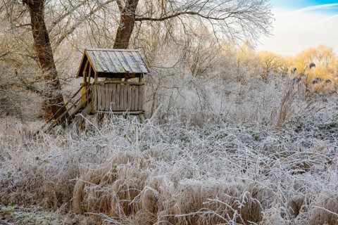 Winter hoarfrost at Ahlhorn fish ponds, Hochsitz, Ahlhorn fish ponds, Ahlhorn, Lower Saxony,