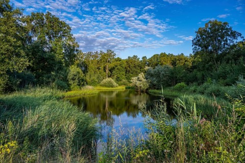 Ahlhorn fishing pond in late summer, Ahlhorn, Lower Saxony, Germany