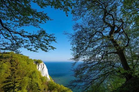 View of chalk cliffs in Jasmund National Park on Rügen, Königsstuhl, Sassnitz, Rügen,